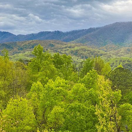 Villa Amazing Views Gatlinburg Habitación foto