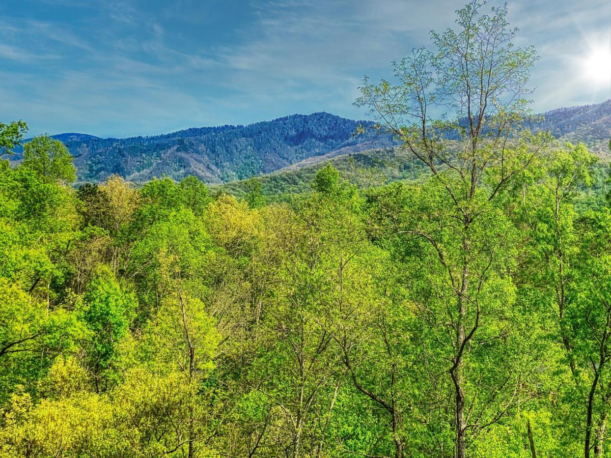 Villa Amazing Views Gatlinburg Exterior foto